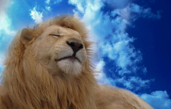 Руслан Курмамбаев