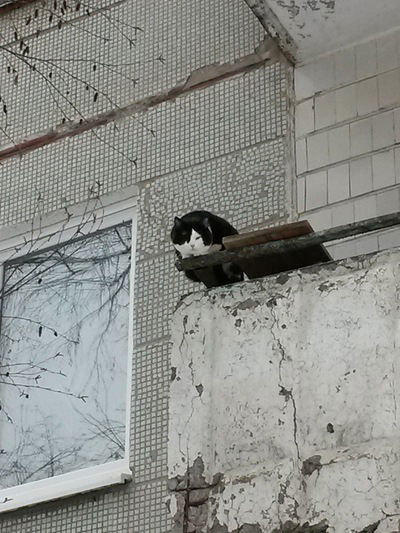 Женя Щербинин