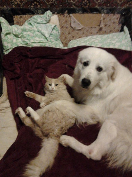 Екатерина Ильина