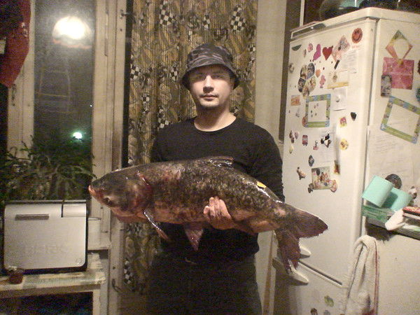 Николай Горяйнов