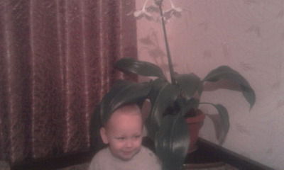 Александр Шакиров