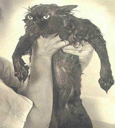 Евгений Ляшко