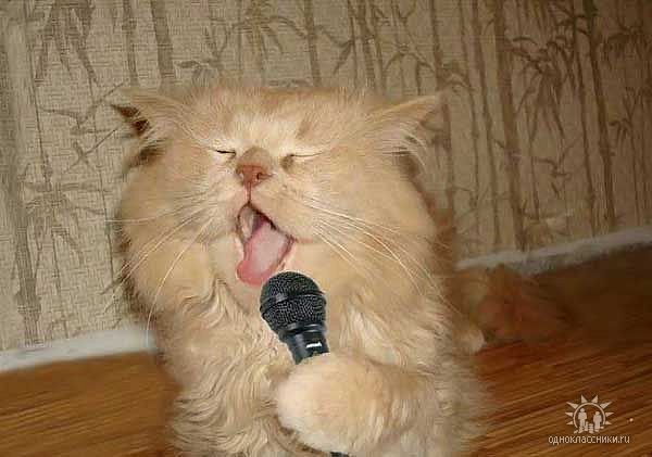 Вова Самара