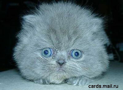 Наталья Соломащенко