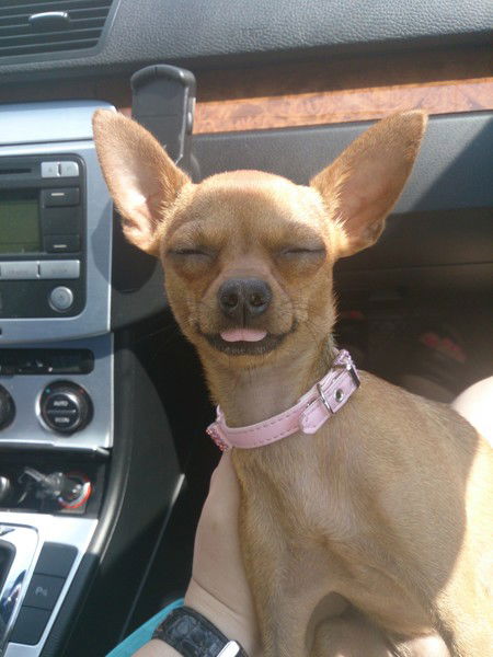 Максим Ратников