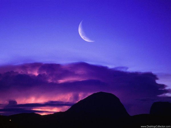 Дмитрий Одинцов