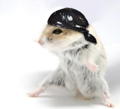 Татьяна Арзамасцева