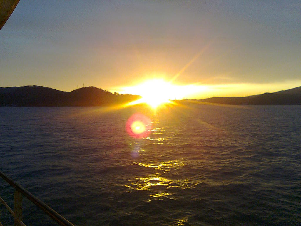 Владимир Шалимов