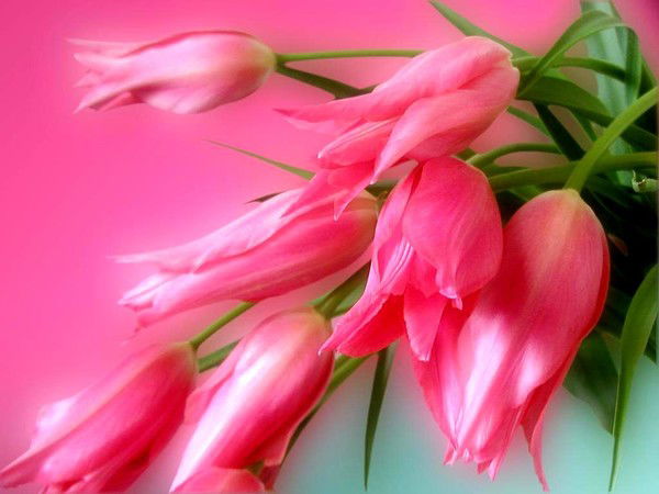 Инна Задорожная