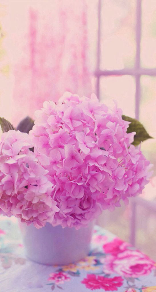 Нагима Булатова