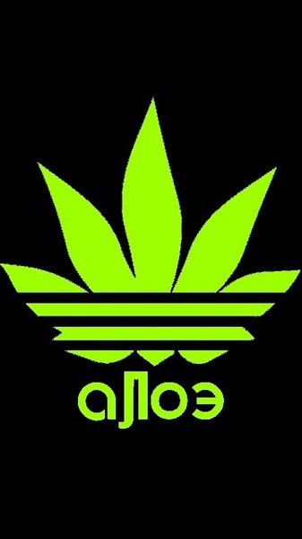 Денис Клименко