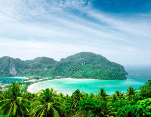 Света Хоменко