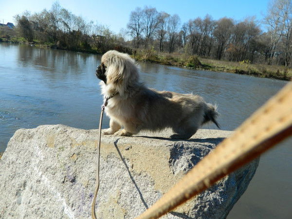 Лариса Кирилюк