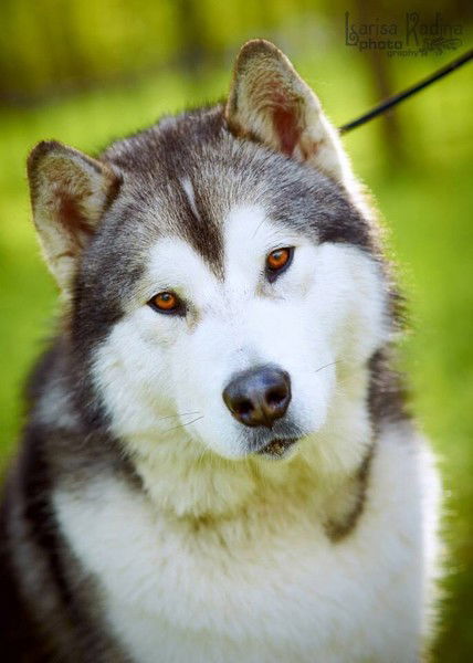 Наталья Титова