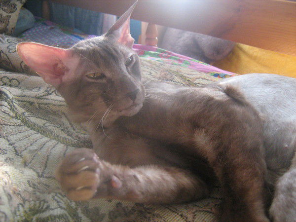 Марина Безбородкина