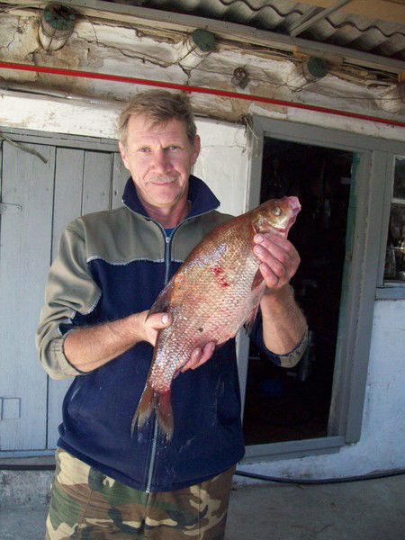 Сергей Ильин