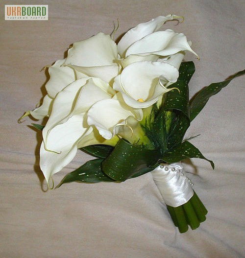 Элиза Маметалиева