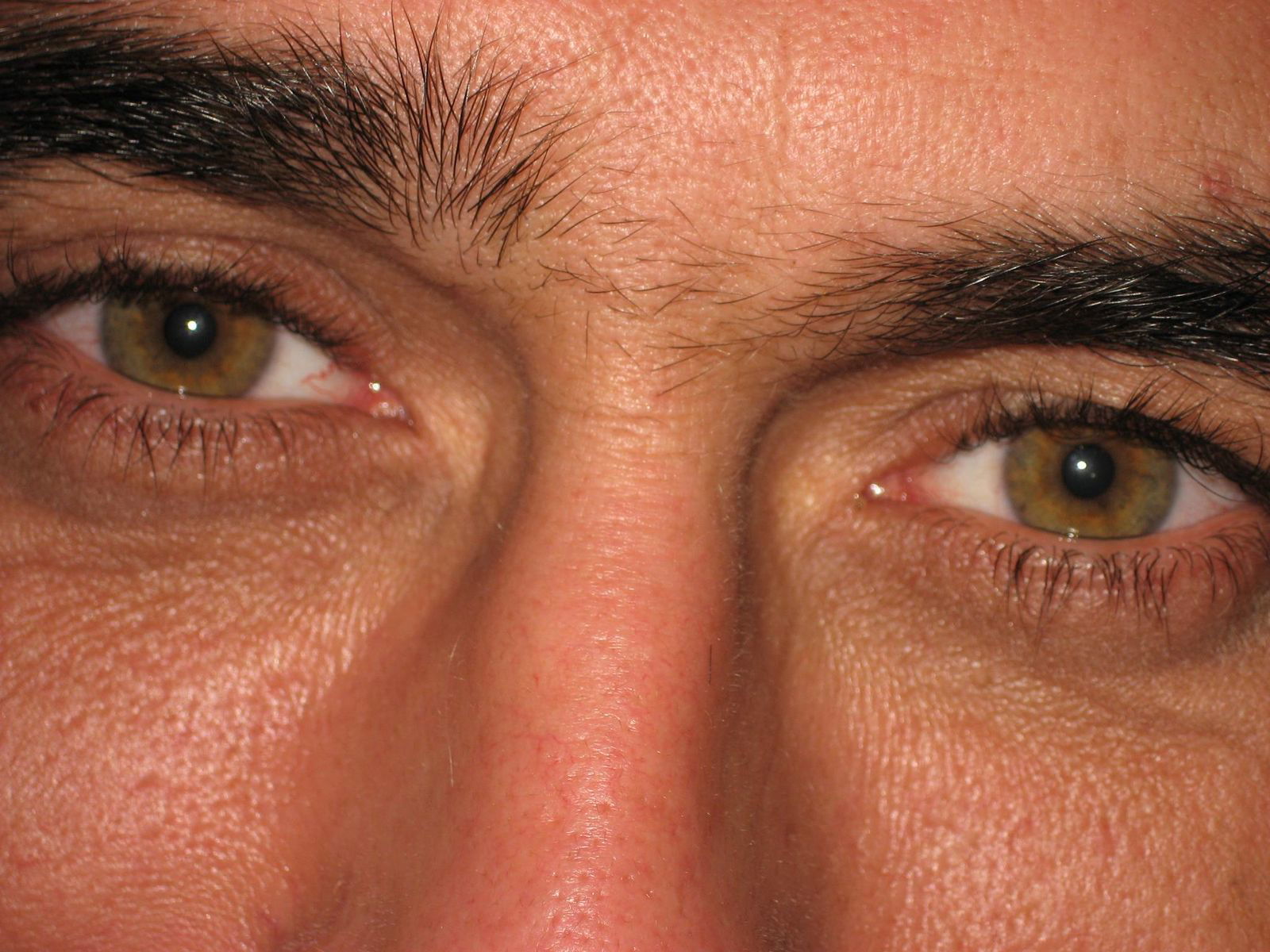 Толяшкин Ерёмин