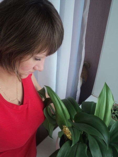 Елена Кургун