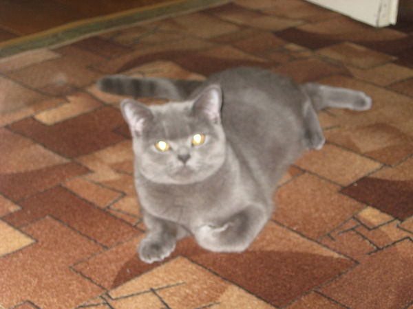 Фёдр Балуков