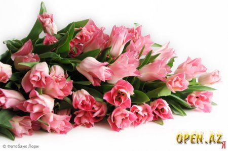 Айгуль Шафикова