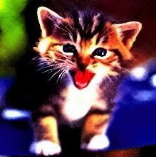 Катерина Пчёлкина