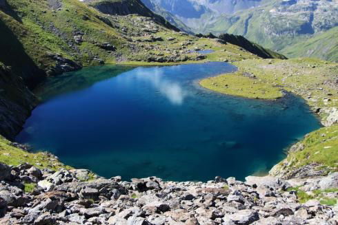 Ольга Цветкова