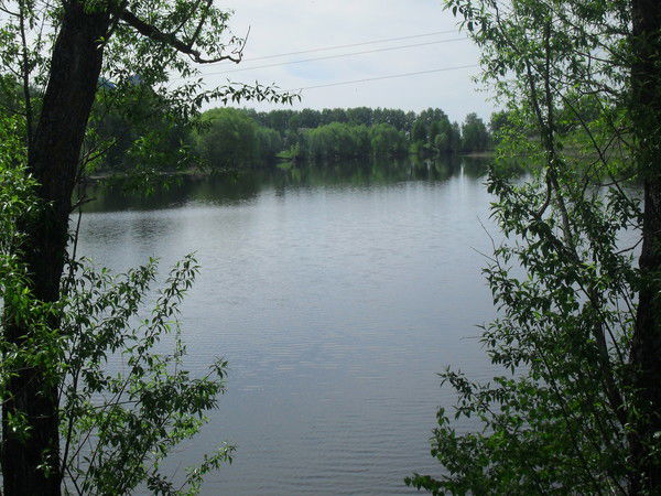 Антонина Тимошкина