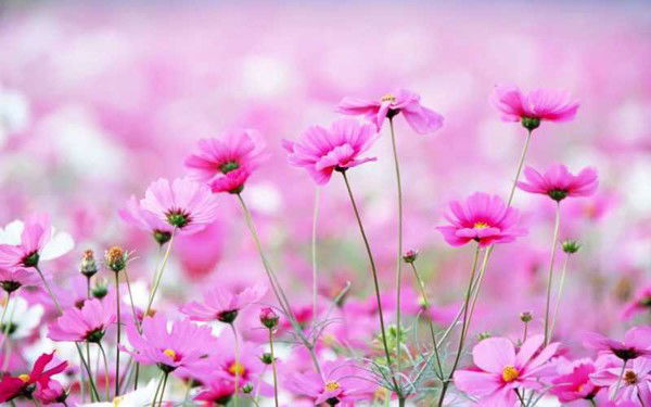 Наташа Каримова