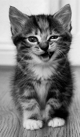 Сергей Красноперов