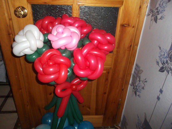 Студия - Дельфин