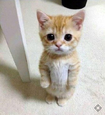 Неизвестно Неизвестно