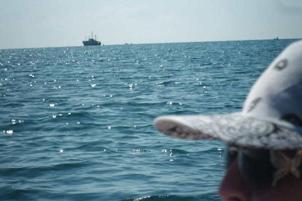 Наталия Болотина