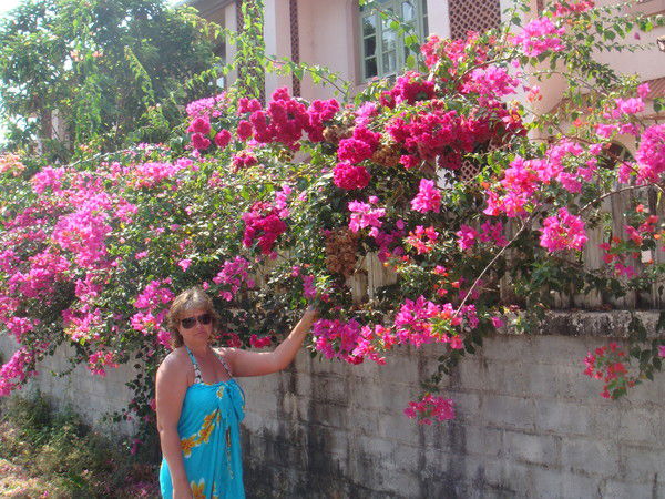 Вероника Комлева