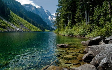 Эльвира Камалетдинова