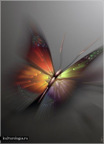 Галина Толстокорова