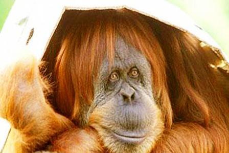 Олег Журавлев