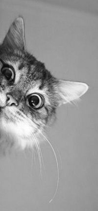 Александра Поздина