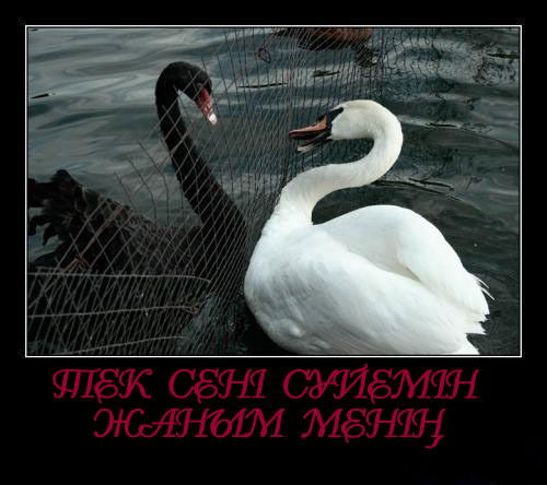 Гулмира Касенкызы