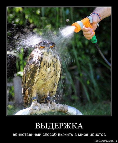 Ирина Идрисходжаева