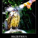 Ирина Идрисходжаева