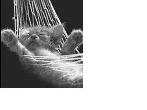 Дмитрий Демянчук