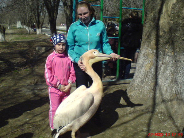 Александра Михайлова