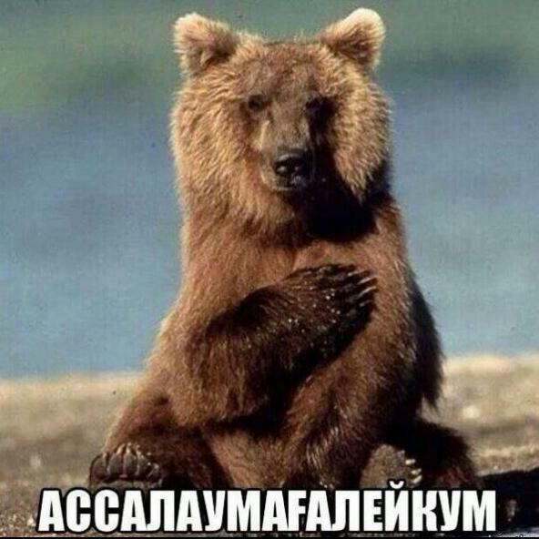 Ардак Абишев