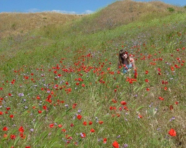 Алина Криволапова