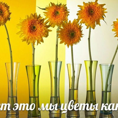 Вика Панёва