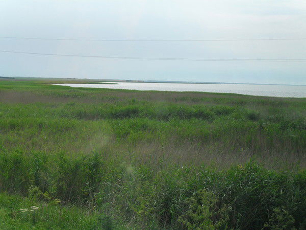 Андрей Телятник