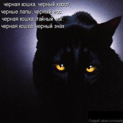 Кристел Кошка