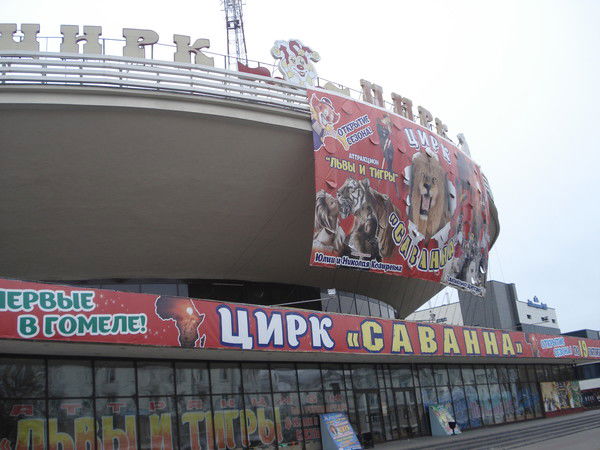 Филипп Мисиюк