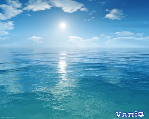 Наташа Франчук(Ващук)